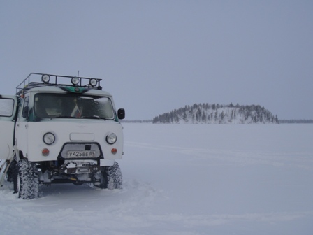 tundra