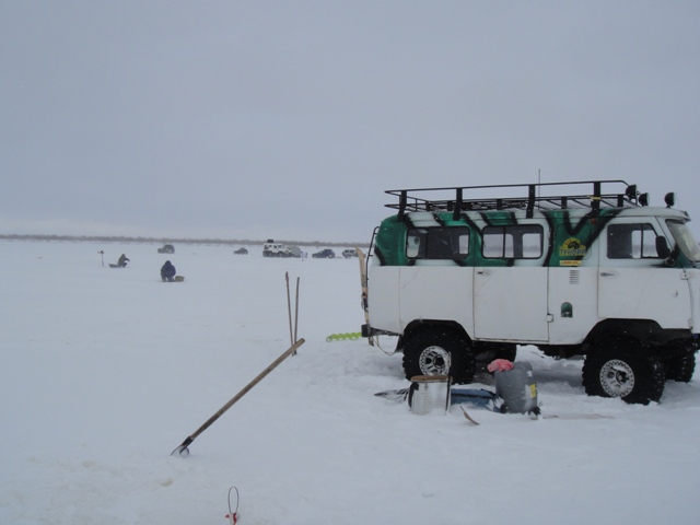 tundra